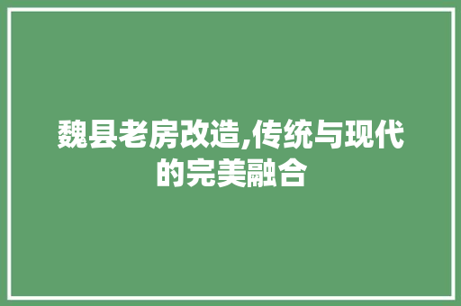 魏县老房改造,传统与现代的完美融合