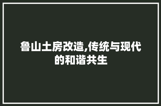 鲁山土房改造,传统与现代的和谐共生