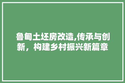 鲁甸土坯房改造,传承与创新，构建乡村振兴新篇章