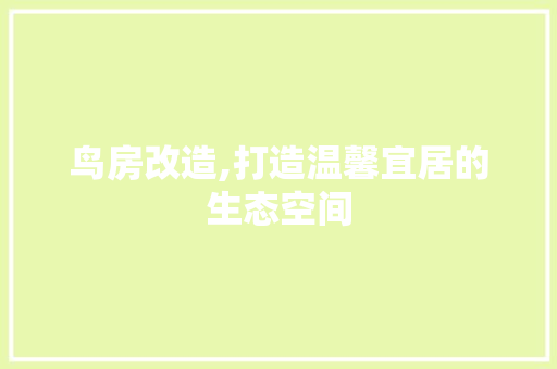 鸟房改造,打造温馨宜居的生态空间