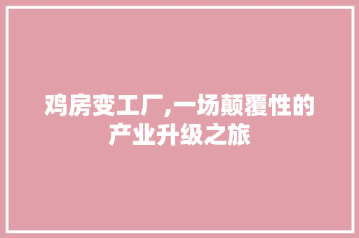 鸡房变工厂,一场颠覆性的产业升级之旅