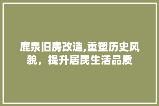 鹿泉旧房改造,重塑历史风貌，提升居民生活品质