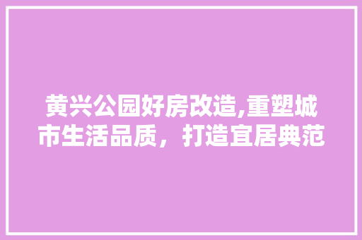 黄兴公园好房改造,重塑城市生活品质，打造宜居典范