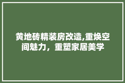 黄地砖精装房改造,重焕空间魅力，重塑家居美学 地面装修