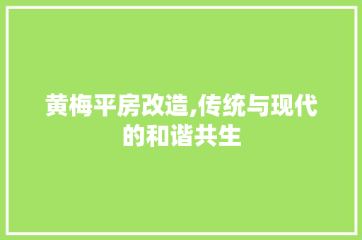 黄梅平房改造,传统与现代的和谐共生 建筑设计
