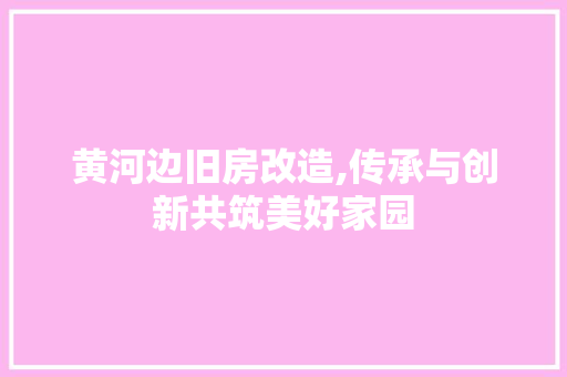 黄河边旧房改造,传承与创新共筑美好家园