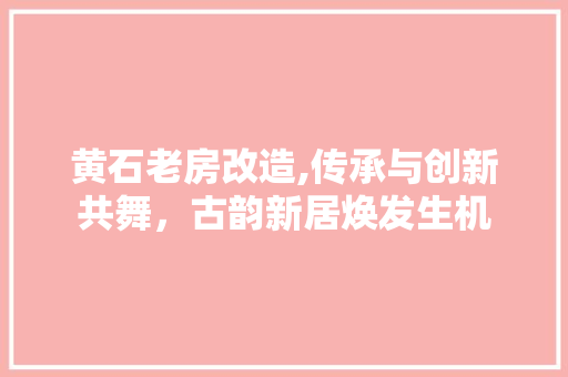 黄石老房改造,传承与创新共舞，古韵新居焕发生机 隔断设计