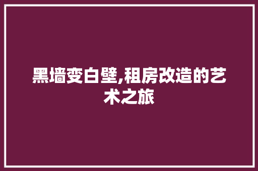 黑墙变白壁,租房改造的艺术之旅 门窗装修