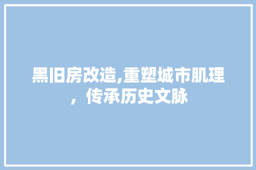 黑旧房改造,重塑城市肌理，传承历史文脉