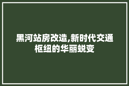 黑河站房改造,新时代交通枢纽的华丽蜕变 装修攻略
