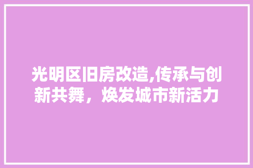 光明区旧房改造,传承与创新共舞，焕发城市新活力
