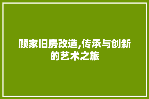 顾家旧房改造,传承与创新的艺术之旅