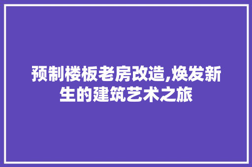 预制楼板老房改造,焕发新生的建筑艺术之旅