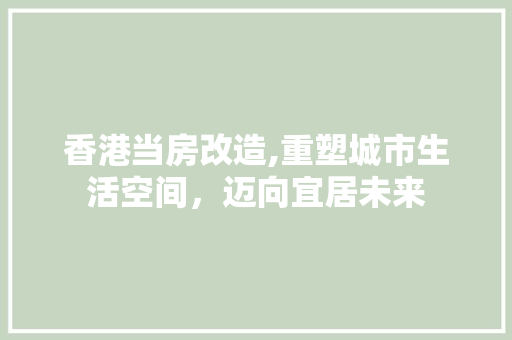 香港当房改造,重塑城市生活空间，迈向宜居未来 装修攻略