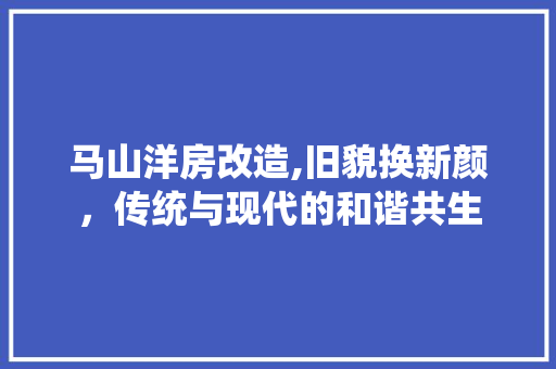 马山洋房改造,旧貌换新颜，传统与现代的和谐共生