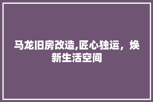 马龙旧房改造,匠心独运，焕新生活空间