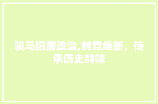 骏马旧房改造,创意焕新，传承历史韵味