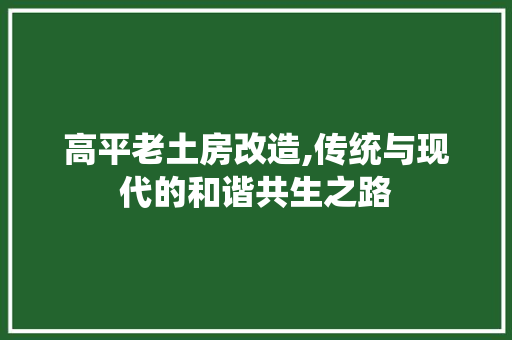 高平老土房改造,传统与现代的和谐共生之路