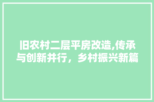 旧农村二层平房改造,传承与创新并行，乡村振兴新篇章