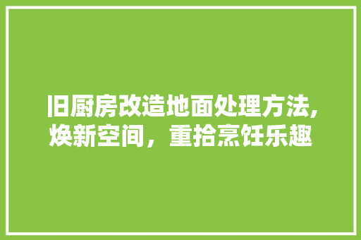 旧厨房改造地面处理方法,焕新空间，重拾烹饪乐趣