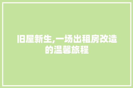 旧屋新生,一场出租房改造的温馨旅程
