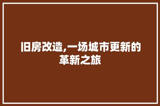 旧房改造,一场城市更新的革新之旅