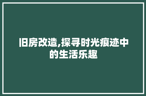旧房改造,探寻时光痕迹中的生活乐趣