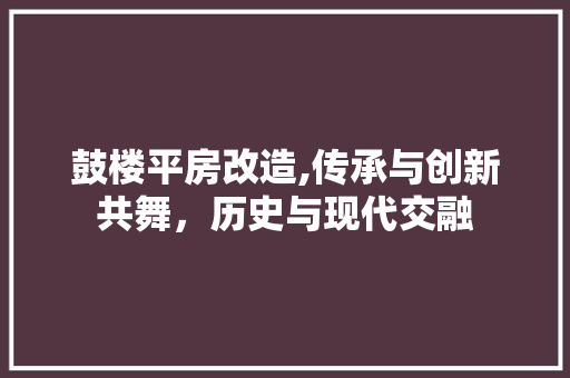鼓楼平房改造,传承与创新共舞，历史与现代交融