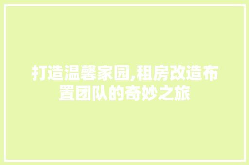 打造温馨家园,租房改造布置团队的奇妙之旅