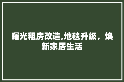 曙光租房改造,地毯升级，焕新家居生活
