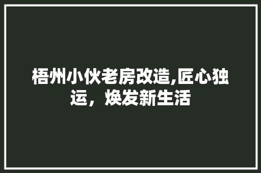 梧州小伙老房改造,匠心独运，焕发新生活