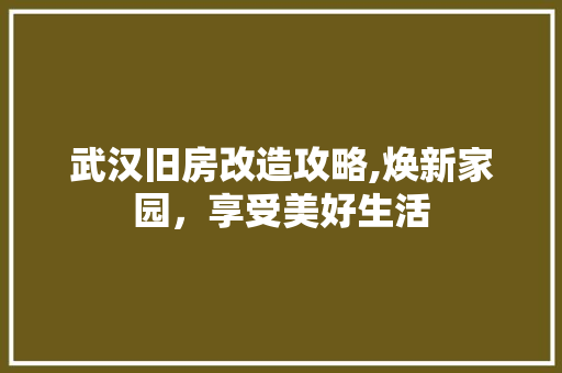 武汉旧房改造攻略,焕新家园，享受美好生活