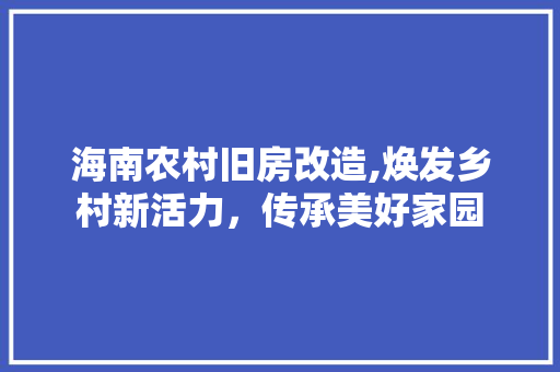 海南农村旧房改造,焕发乡村新活力，传承美好家园