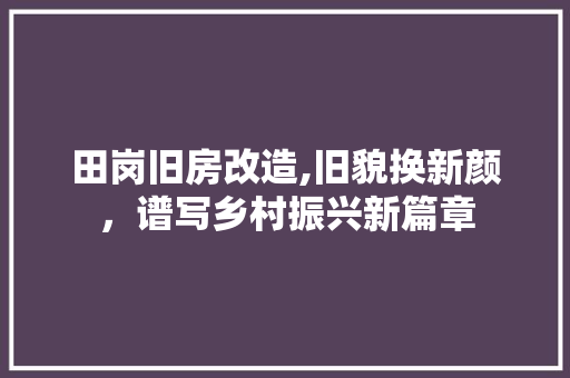 田岗旧房改造,旧貌换新颜，谱写乡村振兴新篇章