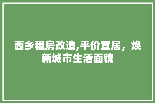 西乡租房改造,平价宜居，焕新城市生活面貌