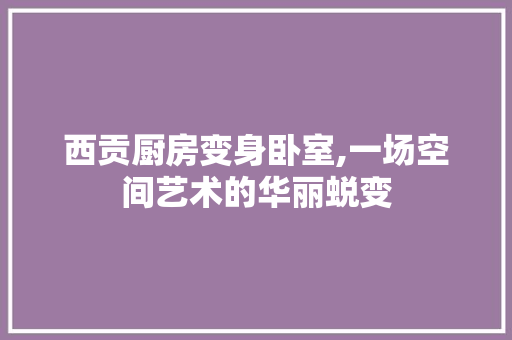 西贡厨房变身卧室,一场空间艺术的华丽蜕变