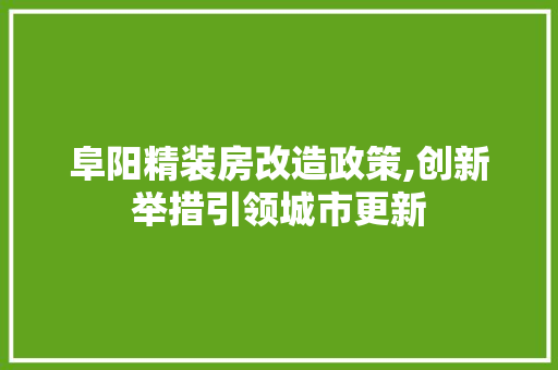 阜阳精装房改造政策,创新举措引领城市更新