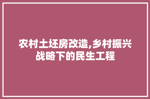农村土坯房改造,乡村振兴战略下的民生工程
