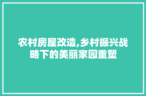 农村房屋改造,乡村振兴战略下的美丽家园重塑