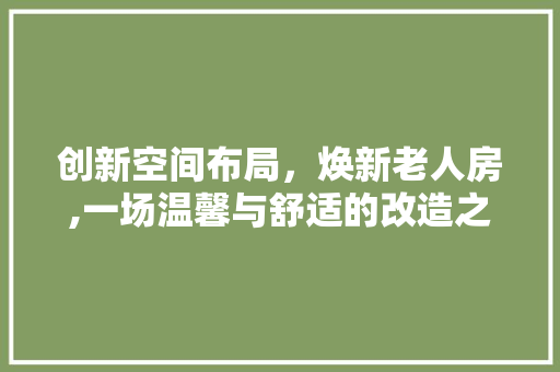 创新空间布局，焕新老人房,一场温馨与舒适的改造之旅