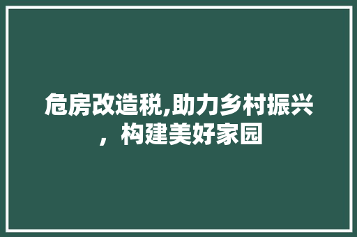 危房改造税,助力乡村振兴，构建美好家园