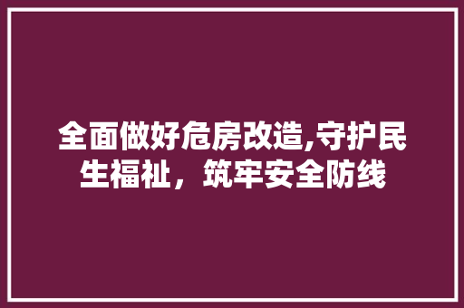 全面做好危房改造,守护民生福祉，筑牢安全防线