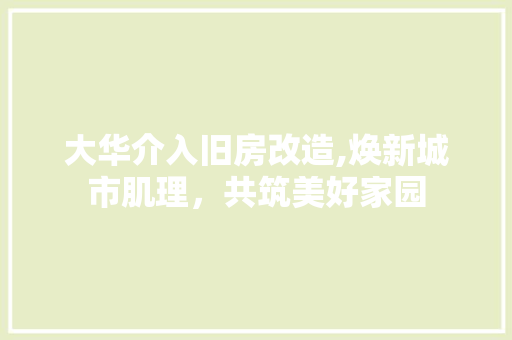 大华介入旧房改造,焕新城市肌理，共筑美好家园