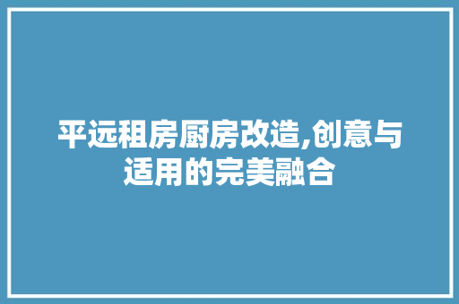 平远租房厨房改造,创意与适用的完美融合