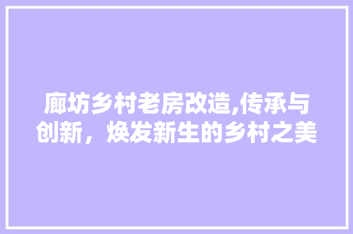 廊坊乡村老房改造,传承与创新，焕发新生的乡村之美