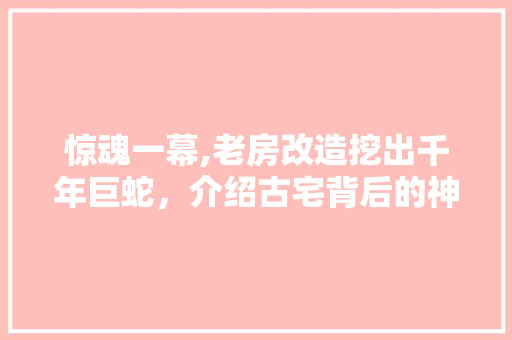 惊魂一幕,老房改造挖出千年巨蛇，介绍古宅背后的神秘传说