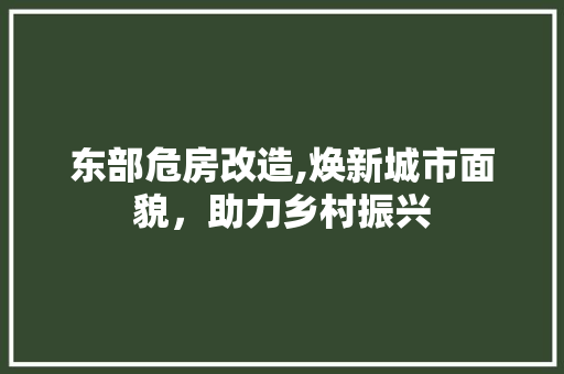 东部危房改造,焕新城市面貌，助力乡村振兴