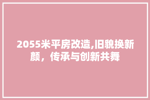 2055米平房改造,旧貌换新颜，传承与创新共舞 地面装修