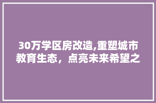 30万学区房改造,重塑城市教育生态，点亮未来希望之光 建筑设计