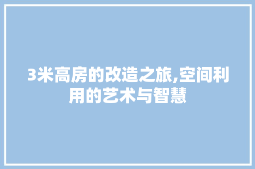 3米高房的改造之旅,空间利用的艺术与智慧